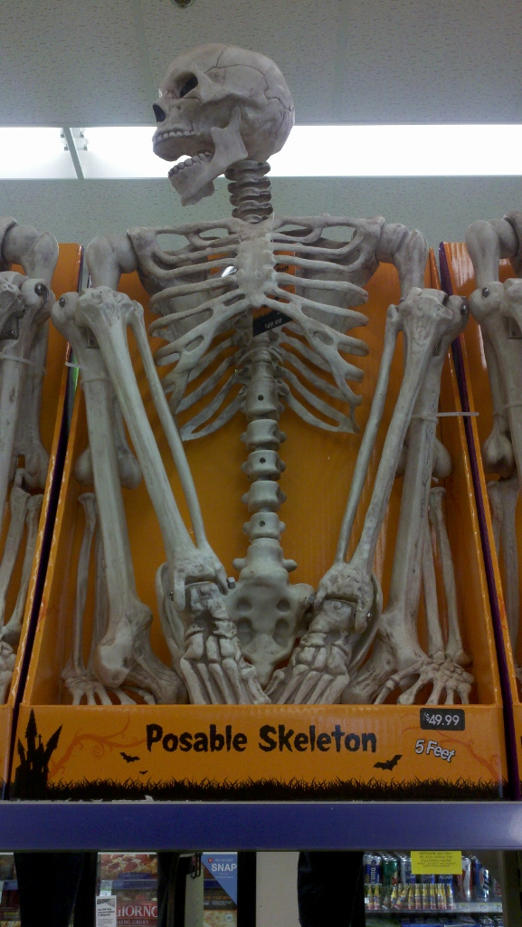 walgreens skeleton
