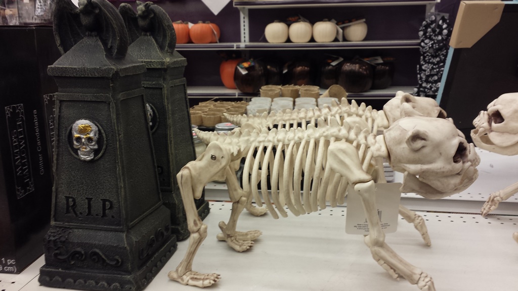 Obelisk and Dog Skeleton